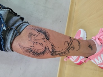 20221129_155948 20221129_155948