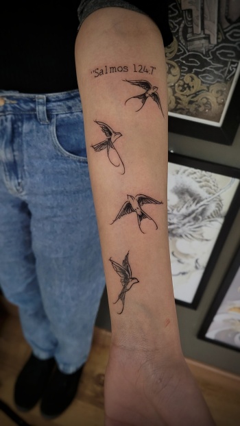 20240816_123441 20240816_123441