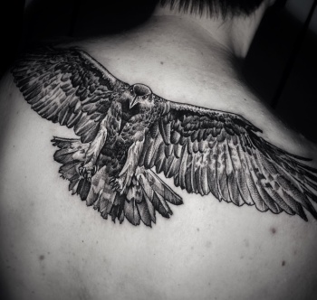 F016BE86-9E44-4747-9A46-62EC92F23F75